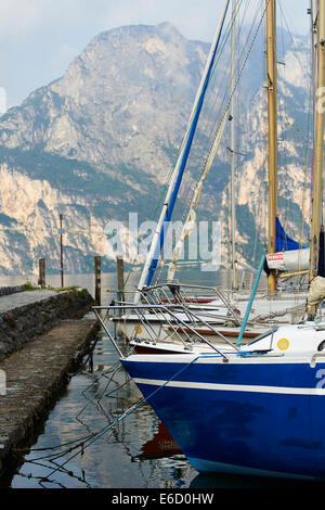 Barche a vela nella marina, Torbole sul lago di Garda, Lago di Garda, Trentino, Italia, Europa Foto Stock