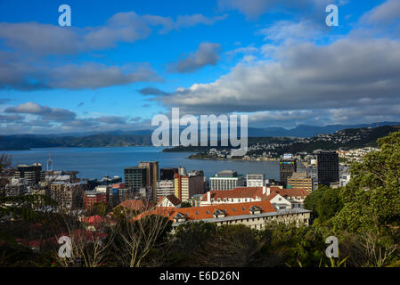 Wellington città capitale della Nuova Zelanda che mostra vista sulla baia di Wellington dalla collina alle spalle del centro città Foto Stock