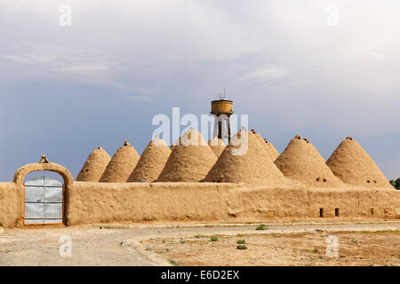 Alveare a forma di mattoni di fango case trulli, Harran, Provincia di Şanlıurfa, Urfa Provincia, Anatolia sudorientale Regione, Anatolia Foto Stock