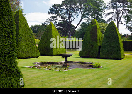 Ritagliato yew gli alberi del giardino sommerso della grande corte a casa Athelhampton, Dorset, England, Regno Unito Foto Stock