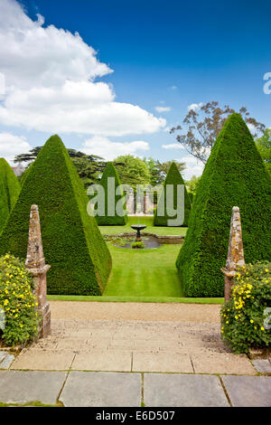 Ritagliato yew gli alberi del giardino sommerso della grande corte a casa Athelhampton, Dorset, England, Regno Unito Foto Stock