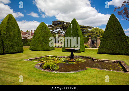 Ritagliato yew gli alberi del giardino sommerso della grande corte a casa Athelhampton, Dorset, England, Regno Unito Foto Stock