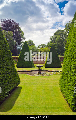 Ritagliato yew gli alberi del giardino sommerso della grande corte a casa Athelhampton, Dorset, England, Regno Unito Foto Stock