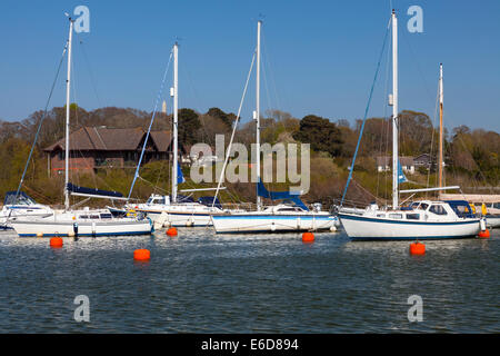 Barche nel porto di Lymington Hampshire Inghilterra UK Europa Foto Stock