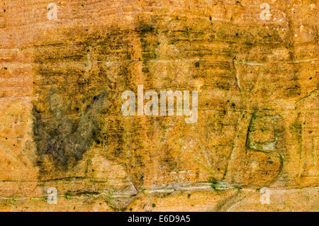 Scultori grotta vicino HOPEMAN MORAY COAST SCOZIA Un CLOSE UP PICTISH incisioni sulla parete est Foto Stock