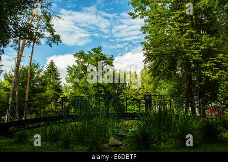 Un vecchio uomo in piedi sul ponte in un parco Foto Stock