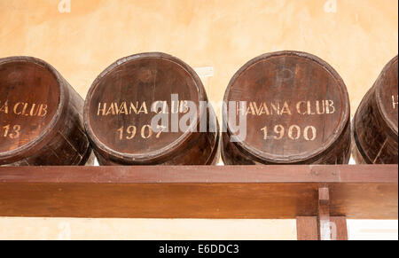 Botti di rovere per la maturazione del rum Havana Club, Museo del Ron (Museo di rum), la distilleria di rum Havana Club, Havana, Cuba Foto Stock