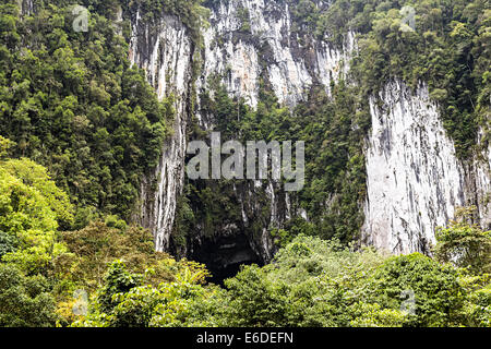 Grotta di cervi, Mulu, Malaysia Foto Stock