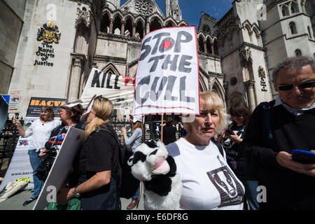 Londra, Regno Unito. 21 Ago, 2014. Badger Cull protestare fuori Royal Courts of Justice di Londra Credito: Guy Corbishley/Alamy Live News Foto Stock