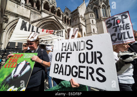 Londra, Regno Unito. 21 Ago, 2014. Badger Cull protestare fuori Royal Courts of Justice di Londra Credito: Guy Corbishley/Alamy Live News Foto Stock