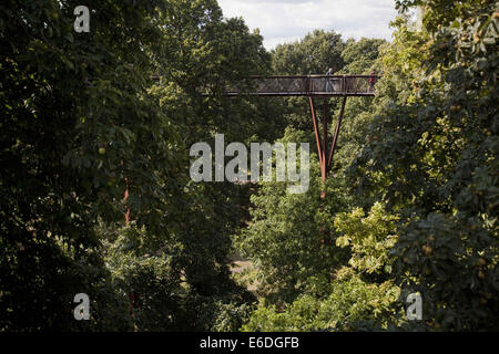 Londra, Regno Unito. 13 Ago, 2014. Kew Gardens - Treetop Walkway.Treetop Walkway aperto sulla giornata internazionale sulla biodiversità, 2008. È stato progettato da Marks Barfield Architects, che ha anche progettato il London Eye. Il Kew Gardens offrono un fantastico mondo di meraviglie botaniche, spettacolare mostra orticola, Kew Gardens, Londra, Regno Unito. © Veronika Lukasova/ZUMA filo/Alamy Live News Foto Stock