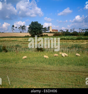 Ramsholt Suffolk REGNO UNITO REGNO UNITO Foto Stock