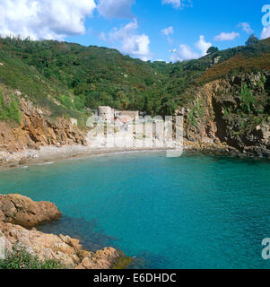 Petit Bot Bay Forest nelle Isole del canale di Guernsey Foto Stock