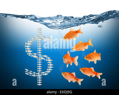La speculazione di pesce concetto con simbolo del dollaro Foto Stock