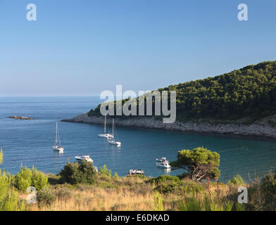 Vista verso la baia Sunj con alberi di pino e barche sull isola di Lopud, isole Elifati, Dalmazia, Croazia Foto Stock