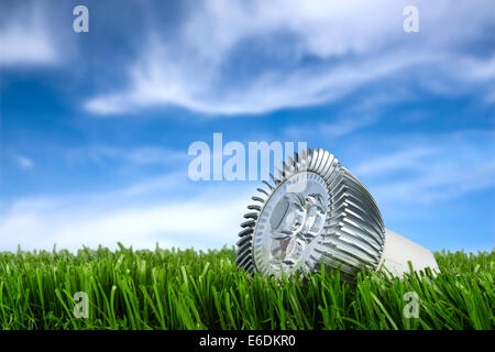 Lampadina a led sul prato di fronte del cielo blu Foto Stock