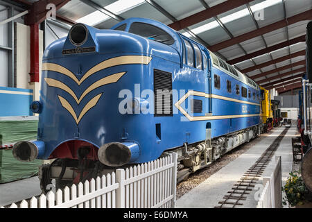 Deltic prototipo locomotiva diesel, realizzato da inglese Electric, a Ribble Steam Museum, Preston, Lancashire, Regno Unito Foto Stock