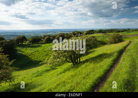 Il Cotswold modo a lunga distanza sentiero su Broadway collina con vista sulla valle di Evesham paesaggio in una serata calda, luce, Worcestershire, Inghilterra Foto Stock