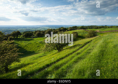 Il Cotswold modo a lunga distanza sentiero su Broadway collina con vista sulla valle di Evesham paesaggio in una serata calda, luce, Worcestershire, Inghilterra Foto Stock