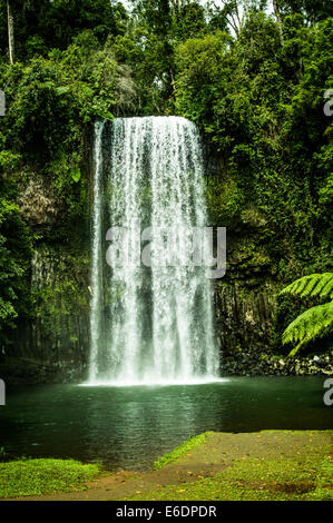 Millaa Millaa cascate nel altopiano di Atherton Foto Stock