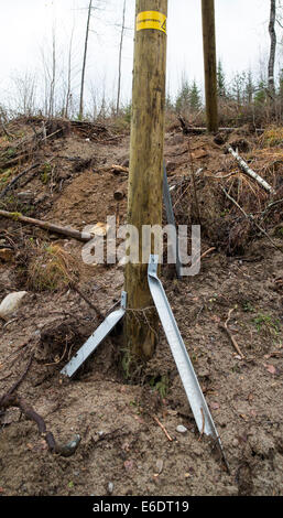 Linea di alimentazione pilone supportato da montanti metallici su instabile terreno fangoso Foto Stock