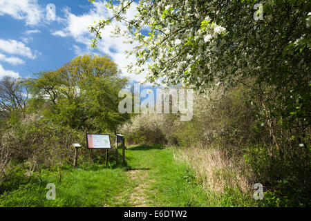 L'ingresso alla Riserva Naturale Dei Pascoli di Glapthorn Cow con albero di mele di granchio e habitat di macchia di blackthorn nell'est del Northamptonshire, Inghilterra. Foto Stock