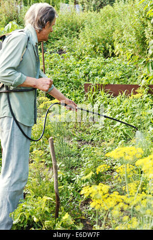 L'uomo la spruzzatura di insetticida sul paese giardino in estate Foto Stock