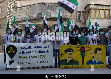 La Siria. 21 Ago, 2014. Una protesta stand nel primo anniversario del massacro di chimica in Oriente Ghota in cui centinaia di civili sono stati uccisi. La giornata di oggi segna il turpe un anno di anniversario di Bashar al-Assad brutale arma chimica massacro in Oriente Ghouta, nonché una stima del numero di morti che vanno da 281 a 1,729 morti compreso il numero dei bambini. L'incidente può essere più letali uso di armi chimiche in quanto l'Iran-guerra in Iraq. Credito: Karam Almasri/Pacific Press/Alamy Live News Foto Stock