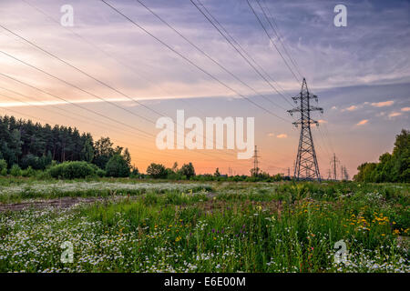 Linea elettrica ad alta tensione in fiore prato oltre il cielo al tramonto Foto Stock