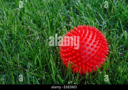 Un rosso sfera in plastica si siede nell'erba in tra i cicli di fetch con la famiglia pet Foto Stock