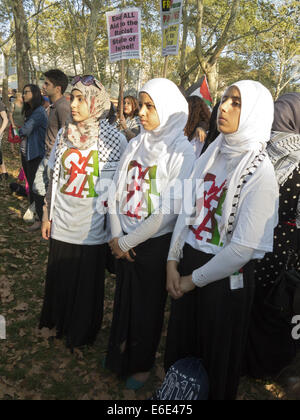 Rally per la Palestina a Cadman Plaza Park di Brooklyn a New York, Aug.20, 2014. Foto Stock