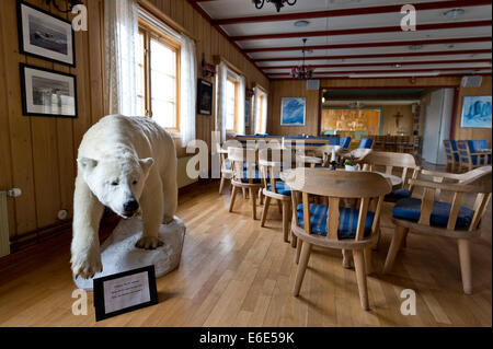 Farcite Polar Bear all'interno del Vår frelsers kirke på Spitsbergen o Chiesa del Nostro Salvatore sulle Svalbard Foto Stock