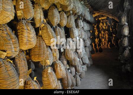 Polesine Parmense (Emilia Romagna, Italia) cantina di invecchiamento del 'culatello' tipico prosciutto Foto Stock