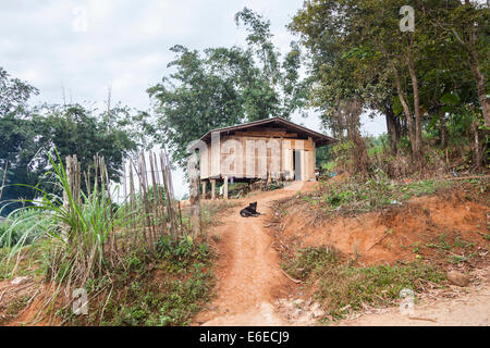 Lahu tipico villaggio di legno casa su palafitte, Chiang Khong nella provincia di Chiang Rai, la Thailandia del Nord con il cane sul percorso Foto Stock