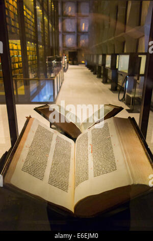 La Bibbia di Gutenberg presso la Beinecke Libri Rari e Manoscritti biblioteca presso la Yale New Haven Foto Stock