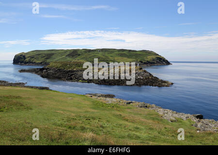 Vitello di uomo sulla costa sud-ovest dell' isola di Man Foto Stock