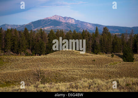 Vista la mattina del drammatico 3343m picco elettrico, nel Montana, visto dal Blacktail deer Plateau, il Parco Nazionale di Yellowstone Foto Stock