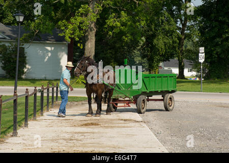 Ohio, Geauga County, Mesopotamia. Tipico giovane ragazzo Amish in abito tradizionale con cavallo carrello. Foto Stock