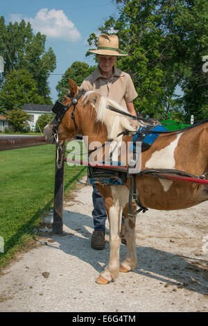 Ohio, Geauga County, Mesopotamia. Tipico di giovani ragazzi Amish in abito tradizionale con carrello e pinto pony "Queenie.". Foto Stock