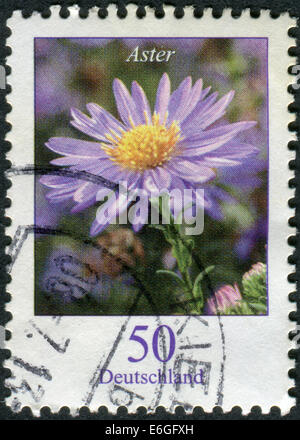 Germania - circa 2005: francobollo stampato in Germania, mostra una fioritura aestri, circa 2005 Foto Stock