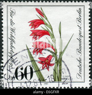 Germania - circa 1981: francobollo stampato in Germania (Berlino Ovest), mostra una fioritura Gladiolus palustris, circa 1981 Foto Stock