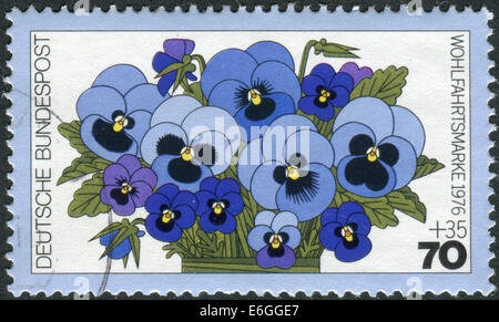 Germania - circa 1976: francobollo stampato in Germania, mostra una fioritura viola tricolore, circa 1976 Foto Stock