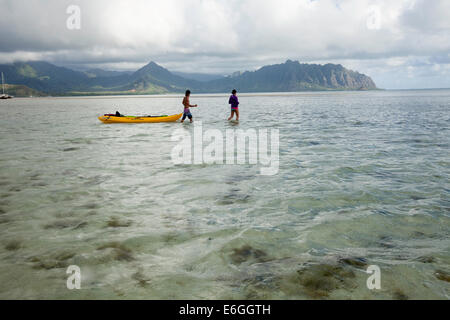 Kaneohe Sandbar, attraversando il sandbar di Kipapa Isola a piedi Kayak Foto Stock