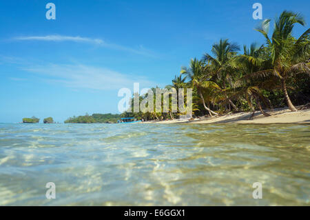 Spiaggia caraibica con palme da cocco visto dalla superficie del mare, Panama America Centrale Foto Stock