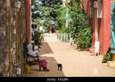 Dakar, Senegal. Il 22 agosto, 2014. Una donna che legge un libro su una strada dell'isola di Goree, tre chilometri a est di Dakar, capitale del Senegal, 22 Agosto, 2014. Isola di Goree, rinomata per il suo commercio atlantico dello schiavo della storia, è una delle destinazioni più popolari per i turisti in Senegal. © Li Jing/Xinhua/Alamy Live News Foto Stock