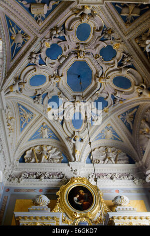 Cattedrale di Zamosc, Polonia, Europa, dall'UNESCO patrimonio dell'umanità Foto Stock