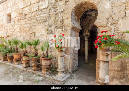 Palma de Mallorca,Isole Baleari,Spagna. Foto Stock