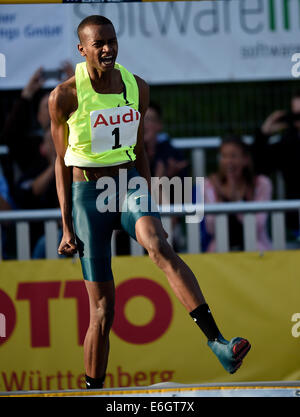 Il Qatar Mutaz Essa Barshim celebra durante la trentaseiesima edizione internazionale di alta vai incontro a Eberstadt, Germania, 22 agosto 2014. Barshim ha vinto con un altezza di 2,41 metri. Foto: DANIEL MAURER/dpa Foto Stock