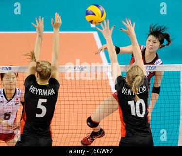 Tokyo, Giappone. 23 Ago, 2014. Saori Kimura (R) dei picchi in Giappone la sfera durante il round finale il match contro il Belgio della FIVB femminile di pallavolo World Grand Prix 2014 in Tokyo, Giappone, e il agosto 23, 2014. Il Giappone ha vinto 3-0. Credito: Stringer/Xinhua/Alamy Live News Foto Stock