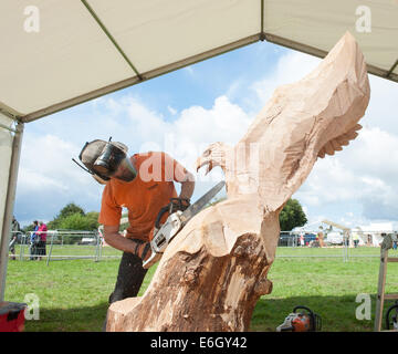 Knutsford, Cheshire, Regno Unito. 23 Ago, 2014. Carver, Flavio Favaro dell Italia competere nel decimo English Aperto Chainsaw Carving concorrenza a Cheshire Showground, Knutsford. Parte del gioco di Cheshire e fiera di paese che continua oltre il lunedì festivo. Credito: Howard Barlow/ Alamy Live News Foto Stock